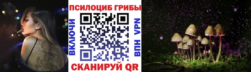 Галлюциногенные грибы мухоморы  Купить  Арамиль 